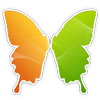 FlylinkDC++
